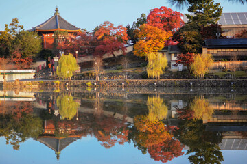Fototapeta na wymiar 秋の奈良県奈良市、奈良公園の猿沢池に映る、興福寺南円堂と見事な紅葉、黄葉mp木々。水鏡。