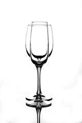 Contours of wine glasses of different shapes with reflection