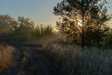 Autumn time. Dawn in a hazy, brooding haze. Beautiful view of the forest and field on a foggy early morning. The sun's rays of light.
