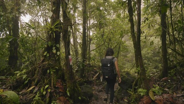 Woman with a bagpack hiking in the forest of Costa Rica National Park