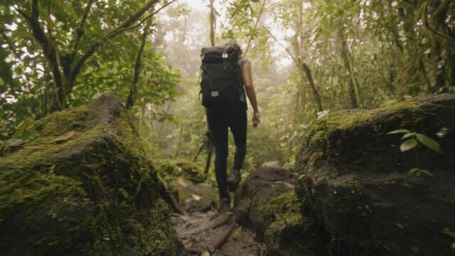Woman with a bagpack hiking in the rainforest mountains of Costa Rica
