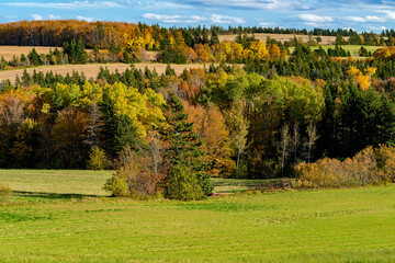 Fototapeta premium Fall foliage along farm fields in the landscape of rural Prince Edward Island, Canada.