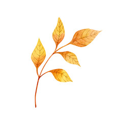Orange autumn twig with leaves. Watercolor illustration isolated on white.