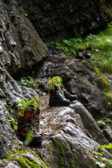 Tourist traveler hiker shoes boots with flowers standing on the rocks.