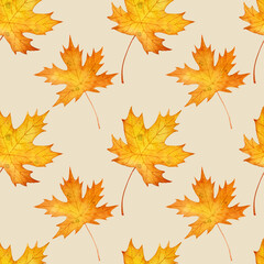 Background with hand drawn autumn leaves of maple. Watercolor seamless pattern.