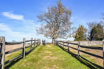 Fototapeta na wymiar Path between split rail fences a gate and large tree