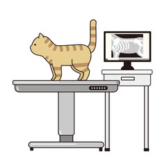 レントゲン写真を撮った診察台の上の茶トラ猫