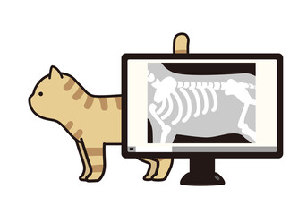 茶トラ猫とデジタルレントゲン写真