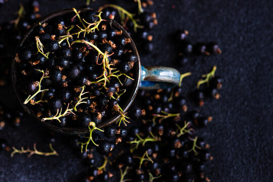 Close-up of a cup of fresh blackcurrants