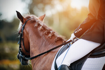 On a sunny summer day, the rider sits astride a sorrel horse with a light braided mane and holds the bridle rein in his hands.