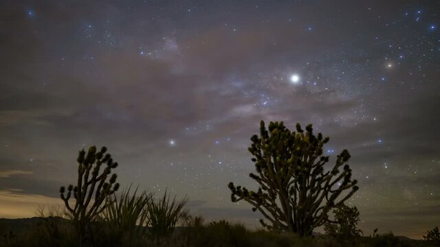  Astro timelapse of Milky Way galaxy rising over Joshua Trees in Mojave Desert in California