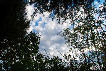 Il cielo e le nuvole in una giornata di settembre