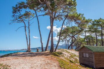 Bord de mer de Calvi
