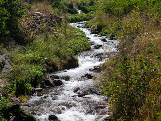 a small swirling mountain river