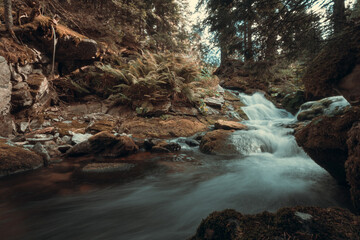 Long exposure with a forest river in the mountain in autumn season