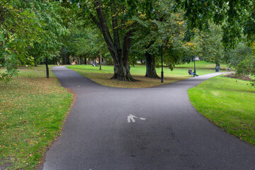 
park, path, way, destiny, intended, symbol, symbolic, tree, green, bench, outdoor, choice, alternative, nature, city