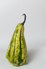 White-yellow pumpkin of unusual shape on a white background. Copy space. Minimalism. Vertical orientation.