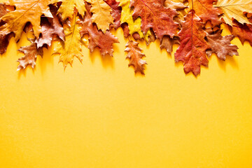 Naklejka na ściany i meble Autumn bright background. Yellow and red autumn leaves on a yellow background, top view, copy space.