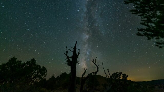  Time lapse of Milky Way galaxy over dead tree in Grand Staircase Escalante National Monument in Utah