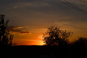 sunset in the forest