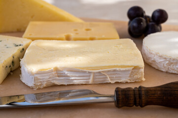 French cheese collection on marble board, emmental, carre de aurillac, petit cantal AOP Jeune, buche chevre, brie