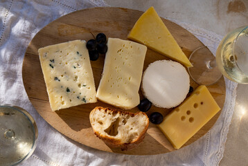 French cheese collection on marble board, emmental, carre de aurillac, petit cantal AOP Jeune, buche chevre, brie