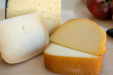 Cheese collection, French fol epi  cheese with many little holes, etorki, tomme noire des pyrenees and ossau iraty cheese