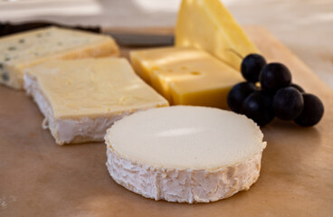 French cheese collection on marble board, emmental, carre de aurillac, petit cantal AOP Jeune, buche chevre, brie