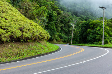 Rodovia simples asfaltada com vegeta&ccedil;&atilde;o aos lados