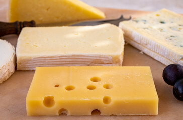 French cheese collection on marble board, emmental, carre de aurillac, petit cantal AOP Jeune, buche chevre, brie