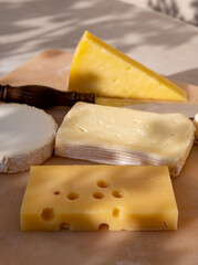 French cheese collection on marble board, emmental, carre de aurillac, petit cantal AOP Jeune, buche chevre, brie