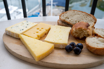 French cheese collection on marble board, emmental, carre de aurillac, petit cantal AOP Jeune, buche chevre, brie