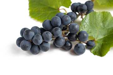 Bunch of red grapes with leaves on a white background