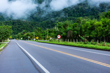 Rodovia simples asfaltada com vegeta&ccedil;&atilde;o aos lados