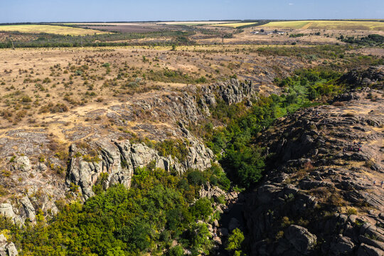 Scenic view of canyon with river and green trees on sunny day. Aktovsky canyon, Nikolaev region, Ukraine.