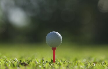 golf ball on green grass,Golf sport is Balance of Yin Yang.copy space left and right for adding text.