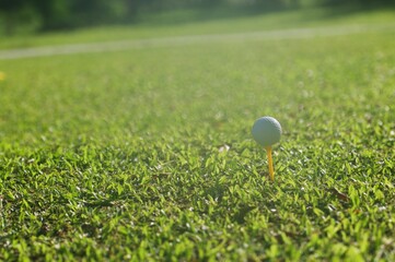 golf ball on green grass,Golf sport is Balance of Yin Yang.copy space left and right for adding text.