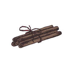 Vector illustration of tied cinnamon sticks drawn by hand. Cinnamon is a New Year's seasoning, aromatic spice.