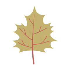 autumn leaf foliage season isolated icon style
