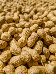 Fototapeta premium Large quantity of peanuts in pod, freshly harvested, dried in the sun. Ready to toast and select. Arachis Hypogaea, goober, pindar or nut. Background, macro, close up. Grown in Extremadura, Spain.