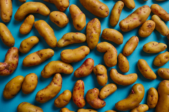 Olluco puesto encima de una mesa.  Tuberculo de los andes. fondo turquesa con olluco mostaza