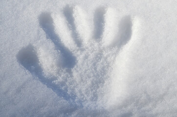 hand print on snow