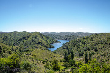 Obraz premium Forest, mountains and lake