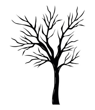Isolated bare tree vector design