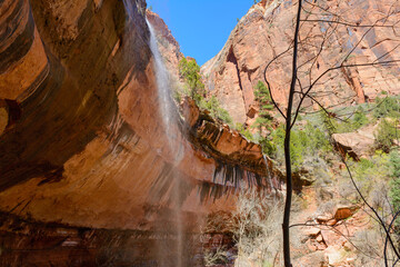 Beautiful scenery in Zion National Park located in the USA in southwestern Utah.