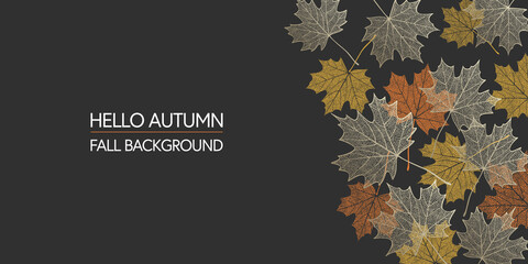 Autumn background. Skeleton maple leaves on dark background. Border made of fall leaves. Vector illustration - obrazy, fototapety, plakaty