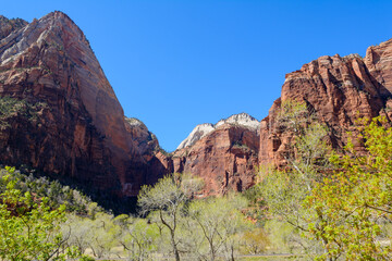 Beautiful scenery in Zion National Park located in the USA in southwestern Utah.