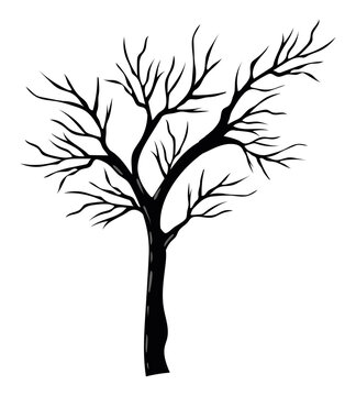 Isolated bare tree vector design