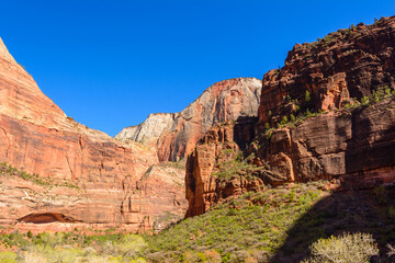 Fototapeta premium Beautiful scenery in Zion National Park located in the USA in southwestern Utah.