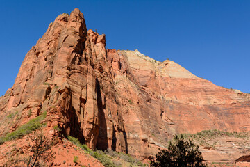 Fototapeta premium Beautiful scenery in Zion National Park located in the USA in southwestern Utah.